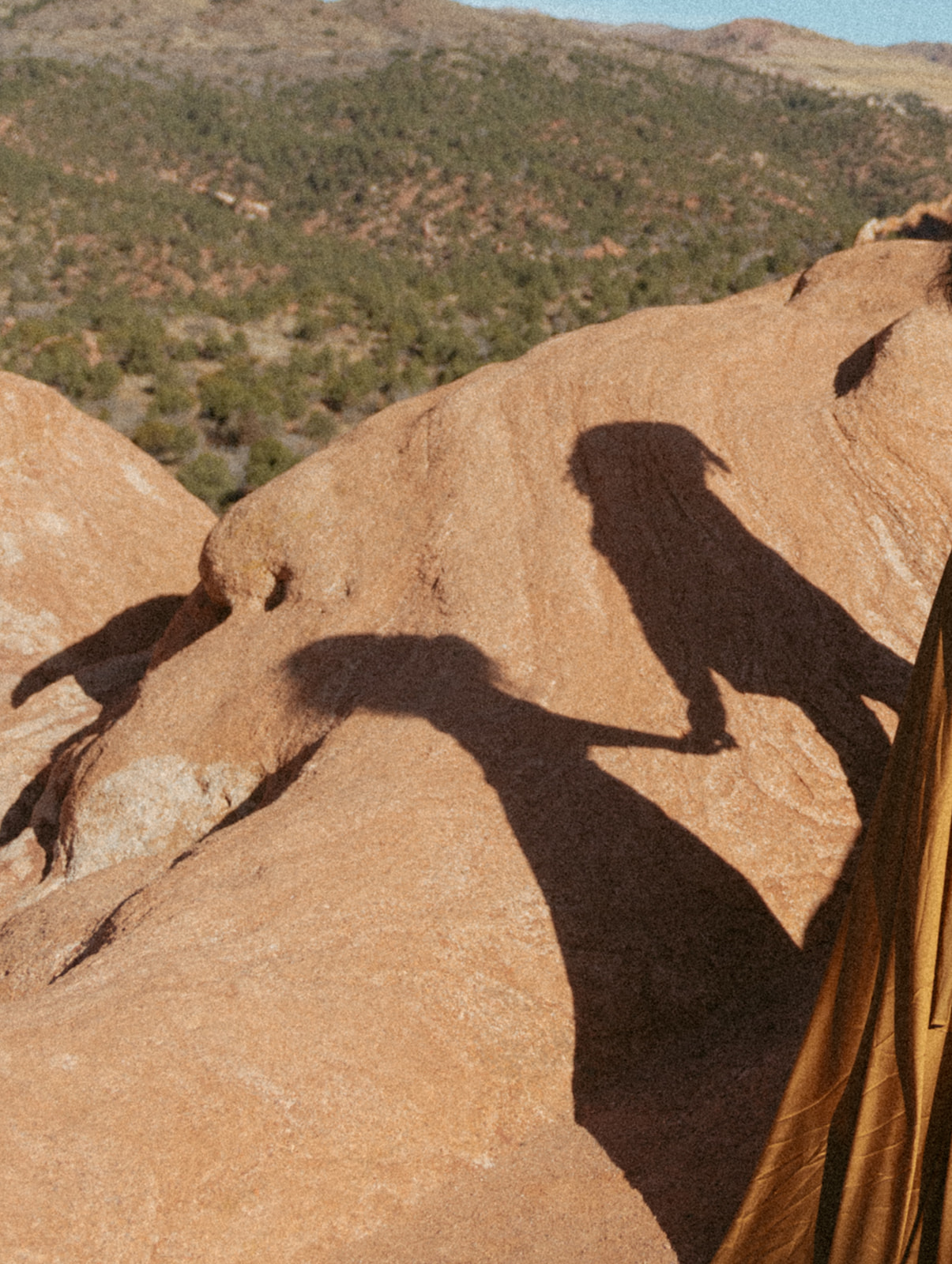 anniversary photos at garden of the gods