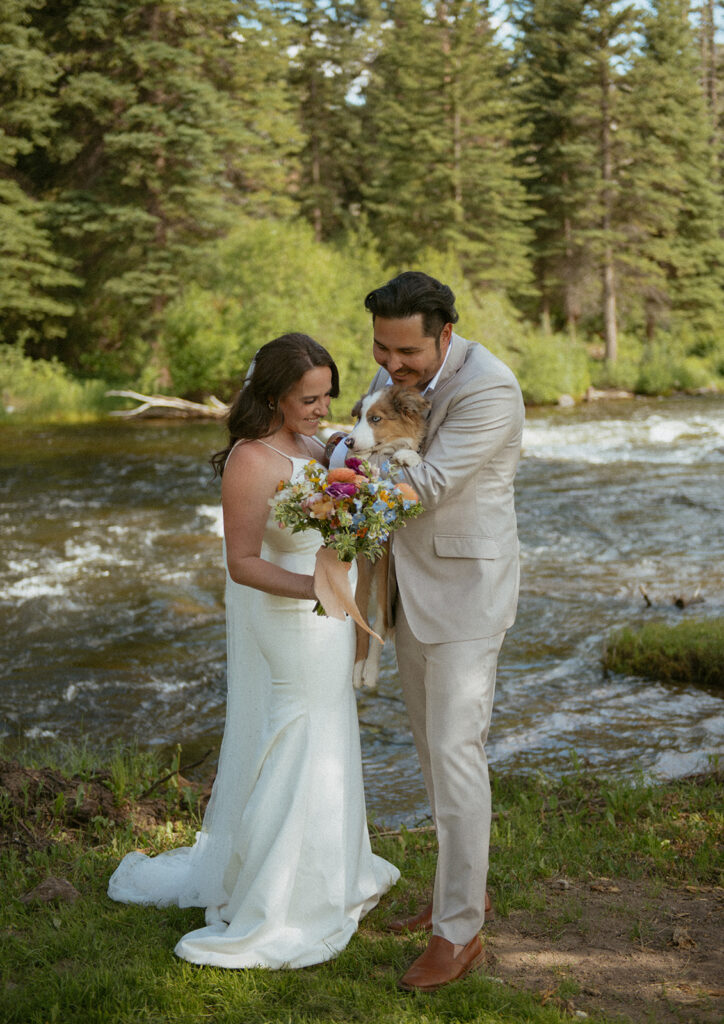 A couple eloping with their dog in Colorado