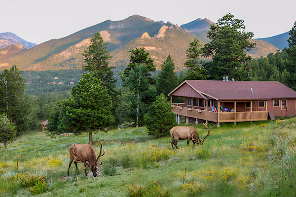 Colorado cabin micro wedding venue