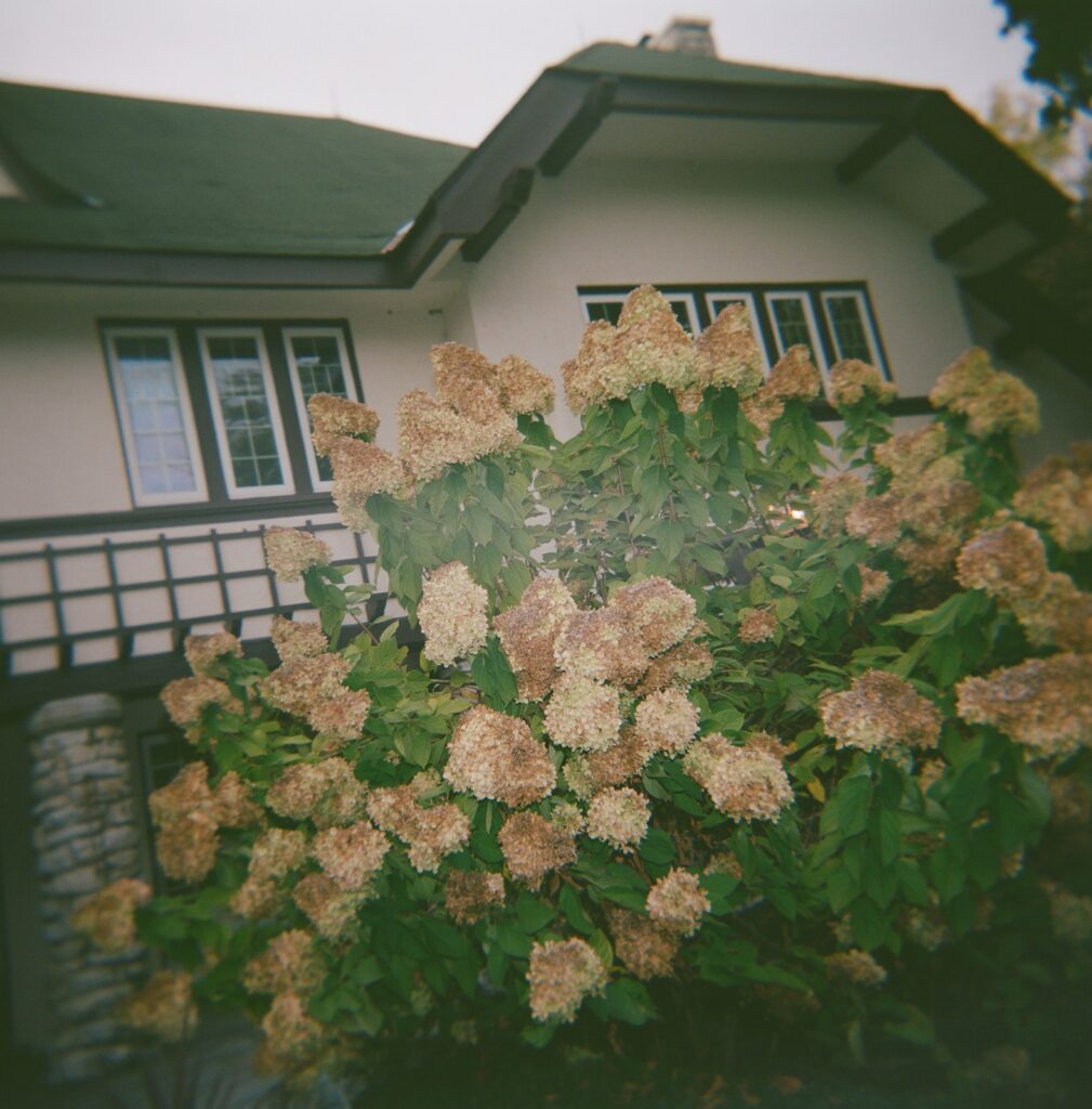 a colorado wedding venue